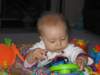 Photo Number 8