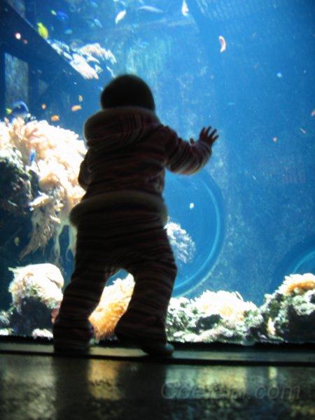 IMG_1017.JPG