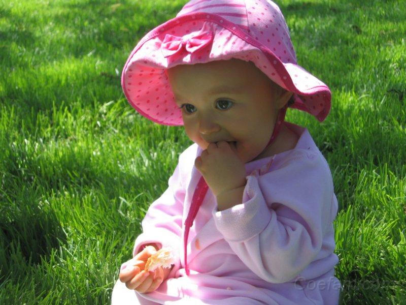 IMG_1663.JPG