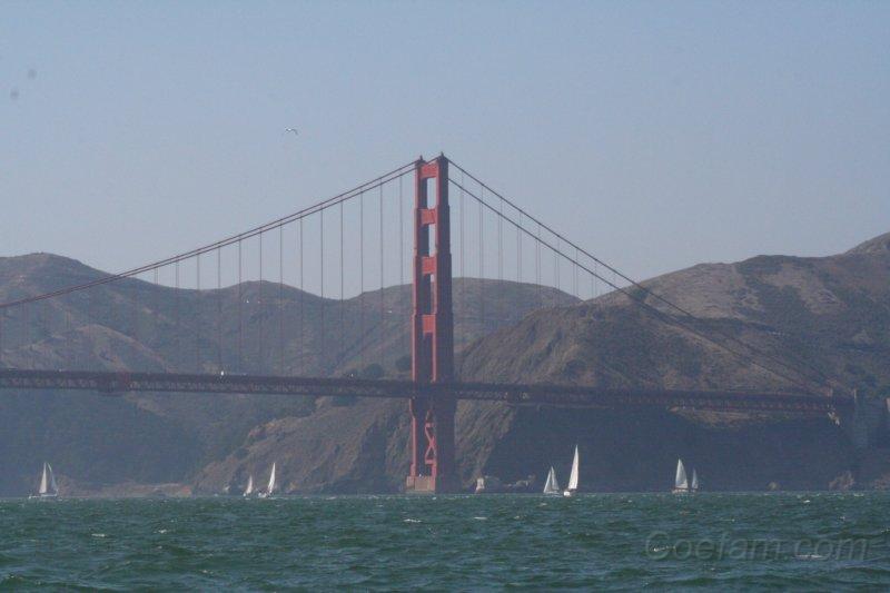 IMG_1667.JPG