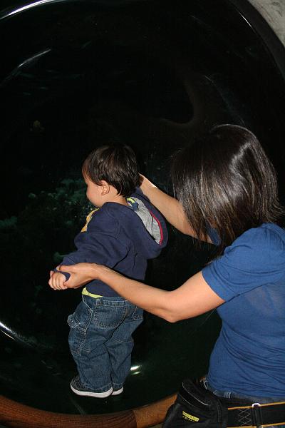 IMG_5960.JPG