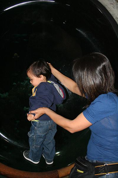 IMG_5961.JPG