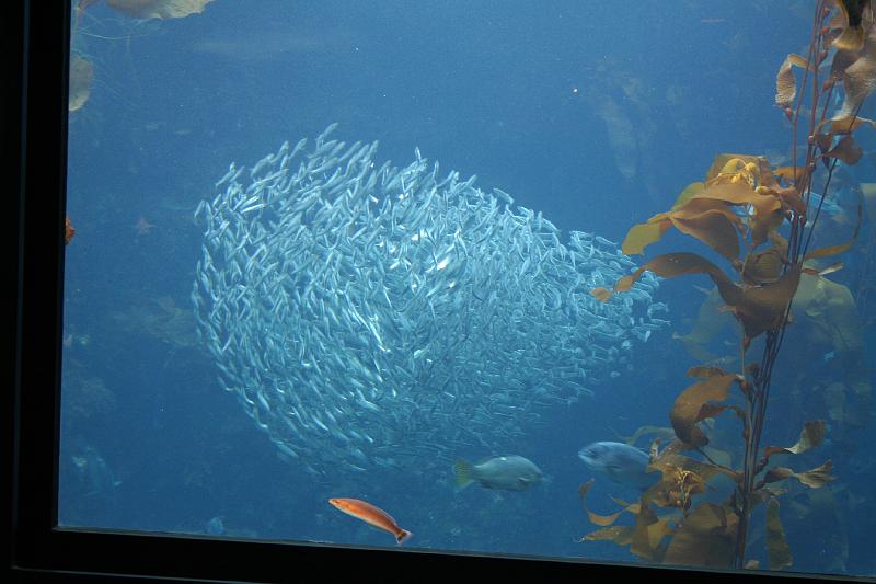 IMG_5989.JPG