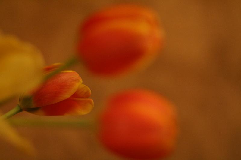 IMG_6871.JPG