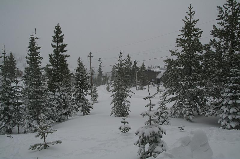 IMG_9061.JPG
