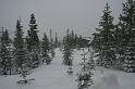 IMG_9061