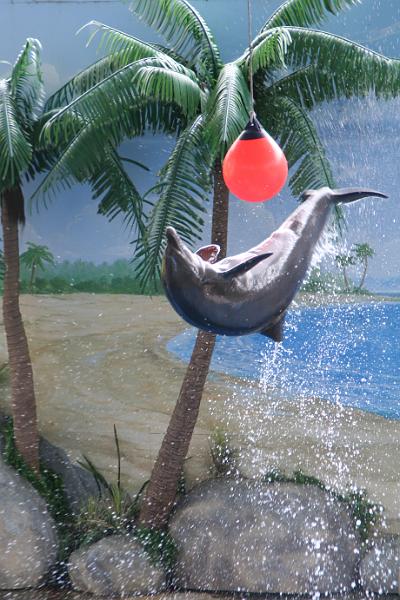 IMG_2312.JPG