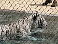 20090619-IMG_0626