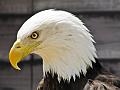 20090619-IMG_0738