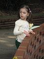 IMG_1884