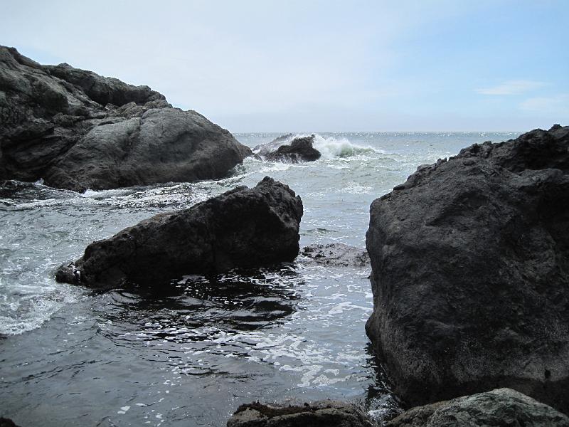IMG_4519.JPG