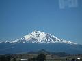 IMG_5531