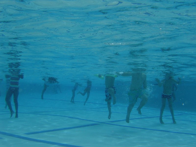 DSC00917.JPG