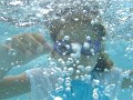 DSC00882