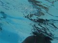DSC00936