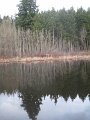 IMG_9373