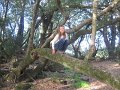 IMG_0026
