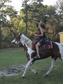 IMG_0597
