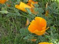 IMG_0832