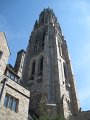 IMG_1546