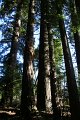 IMG_1316