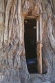 IMG_1757
