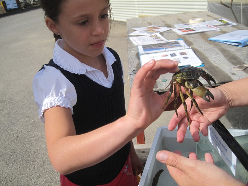 IMG_3763.JPG