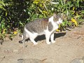 IMG_3528