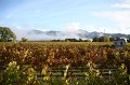 IMG_2493