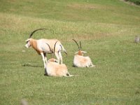 IMG 6976