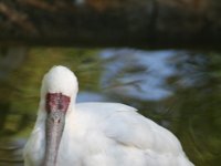 IMG 7011
