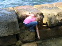 IMG 3673
