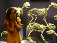 IMG 4297