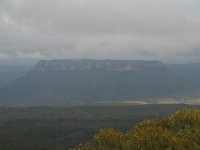 IMG 4969