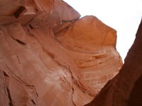 IMG 8599