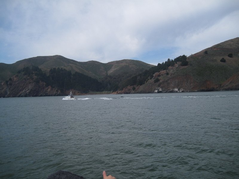 IMG_5517.JPG