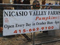 293A9194  Nicasio Harvest Faire