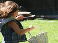 293A2354